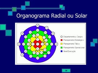 Organograma Radial ou Solar 