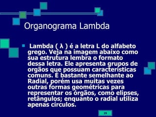 Organograma Lambda Lambda ( λ ) é a letra L do alfabeto grego. Veja na imagem abaixo como sua estrutura lembra o formato dessa letra. Ele apresenta grupos de orgãos que possuam características comuns. É bastante semelhante ao Radial, porém usa muitas vezes outras formas geométricas para representar os órgãos, como elipses, retângulos; enquanto o radial utiliza apenas círculos. 