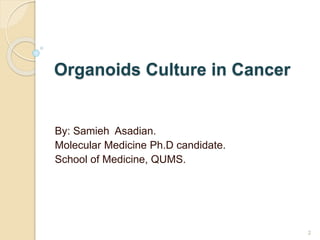 Organoids Culture in Cancer
By: Samieh Asadian.
Molecular Medicine Ph.D candidate.
School of Medicine, QUMS.
2
 
