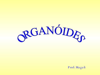 ORGANÓIDES Prof: Magali 