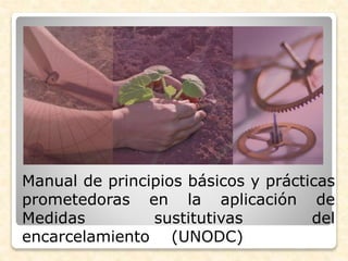 Manual de principios básicos y prácticas
prometedoras en la aplicación de
Medidas sustitutivas del
encarcelamiento (UNODC)
 