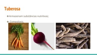 Tuberosa
❖Armazenam substâncias nutritivas;
❖ Comestíveis.
 