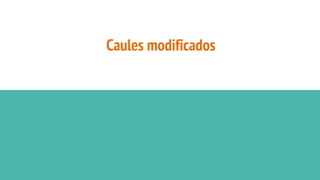 Caules modificados
 