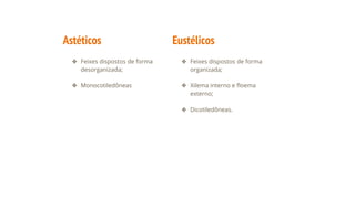 Astéticos
❖ Feixes dispostos de forma
desorganizada;
❖ Monocotiledôneas
Eustélicos
❖ Feixes dispostos de forma
organizada;
❖ Xilema interno e floema
externo;
❖ Dicotiledôneas.
 