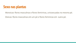 Sexo nas plantas
Monoicas: flores masculinas e flores femininas, unissexuadas no mesmo pé.
Dioicas: flores masculinas em um pé e flores femininas em outro pé.
 