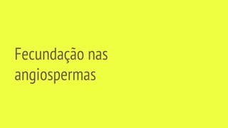 Fecundação nas
angiospermas
 