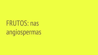 FRUTOS: nas
angiospermas
 