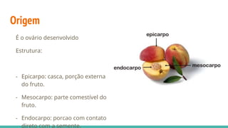 Origem
É o ovário desenvolvido
Estrutura:
- Epicarpo: casca, porção externa
do fruto.
- Mesocarpo: parte comestível do
fruto.
- Endocarpo: porcao com contato
direto com a semente.
 