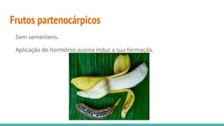 Frutos partenocárpicos
Sem sementens.
Aplicação do hormônio auxina induz a sua formação.
 