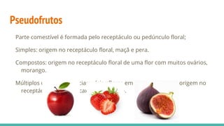Pseudofrutos
Parte comestível é formada pelo receptáculo ou pedúnculo floral;
Simples: origem no receptáculo floral, maçã e pera.
Compostos: origem no receptáculo floral de uma flor com muitos ovários,
morango.
Múltiplos ou infrutescências: várias flores em um mesmo eixo, origem no
receptáculo floral, abacaxi, amora e figo.
 
