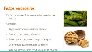 Frutos verdadeiros
Parte comestível é formada pelas paredes do
ovário;
Carnosos
- Baga: com várias sementes, tomate.
- Drupas: com caroço, abacate.
● Secos: pericarpo seco, com pouca água
- Deiscentes: quando maduros abrem.
- Indeiscentes: mesmo maduros não se abrem.
 