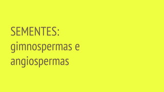 SEMENTES:
gimnospermas e
angiospermas
 