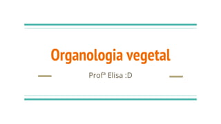 Organologia vegetal
Profª Elisa :D
 