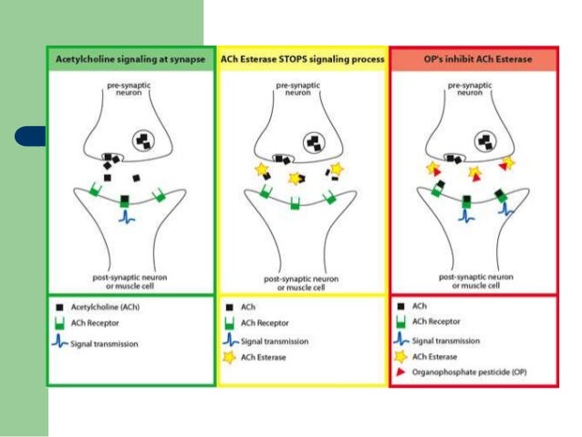 elucidating compound mechanism of action Oil sands process-affected water (ospw) is generated during extraction of bitumen in the surface-mining oil sands industry in alberta, canada, and is acutely and chronically toxic to aquatic organisms it is known that dissolved organic compounds in ospw are responsible for most toxic effects, but. elucidating compound mechanism of action Oil sands process-affected water (ospw) is generated during extraction of bitumen in the surface-mining oil sands industry in alberta, canada, and is acutely and chronically toxic to aquatic organisms it is known that dissolved organic compounds in ospw are responsible for most toxic effects, but.