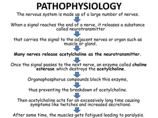 PATHOPHYSIOLOGY
The nervous system is made up of a large number of nerves.
When a signal reaches the end of a nerve, it re...