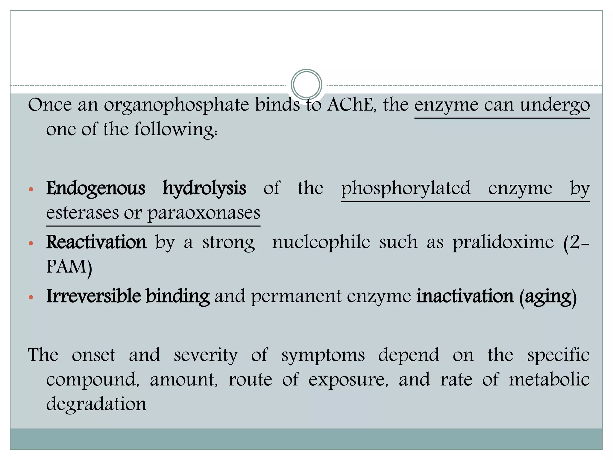 Once an organophosphate binds to AChE, the enzyme can undergo
one of the following:
• Endogenous hydrolysis of the phosphorylated enzyme by
esterases or paraoxonases
• Reactivation by a strong nucleophile such as pralidoxime (2-
PAM)
• Irreversible binding and permanent enzyme inactivation (aging)
The onset and severity of symptoms depend on the specific
compound, amount, route of exposure, and rate of metabolic
degradation
 