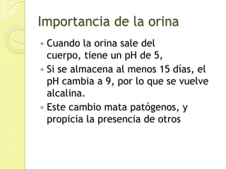 Hay una reabsorción en el túbulo proximal, de las sustancias que pueden reaprovecharse por el cuerpo.