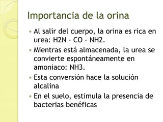 Las que no se reabsorben pasan al túbulo distal, para ser secretadas