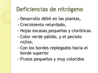 Cadenas alimenticias
