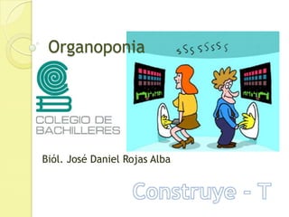Organoponia Biól. José Daniel Rojas Alba Construye - T 