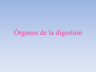 Órganos de la digestión,[object Object]
