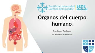 Órganos del cuerpo
humano.
Jean Carlos Zambrano.
1er Semestre de Medicina
 