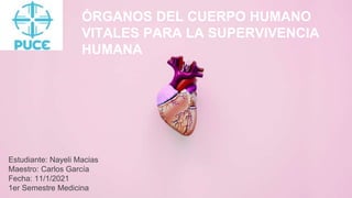 Estudiante: Nayeli Macias
Maestro: Carlos García
Fecha: 11/1/2021
1er Semestre Medicina
ÓRGANOS DEL CUERPO HUMANO
VITALES PARA LA SUPERVIVENCIA
HUMANA
 