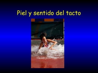 Piel y sentido del tacto
 
