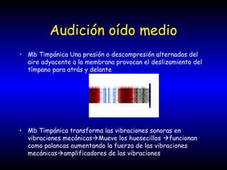 Audición oído medio
• Mb Timpánica Una presión o descompresión alternadas del
aire adyacente a la membrana provocan el deslizamiento del
tímpano para atrás y delante
• Mb Timpánica transforma las vibraciones sonoras en
vibraciones mecánicasMueve los huesecillos funcionan
como palancas aumentando la fuerza de las vibraciones
mecánicasamplificadores de las vibraciones
 
