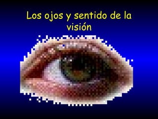 Los ojos y sentido de la
visión
 