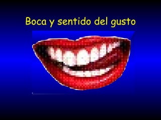 Boca y sentido del gusto
 