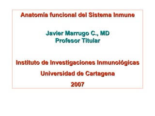 Anatomía funcional del Sistema Inmune Javier Marrugo C., MD Profesor Titular Instituto de Investigaciones Inmunológicas Universidad de Cartagena 2007 