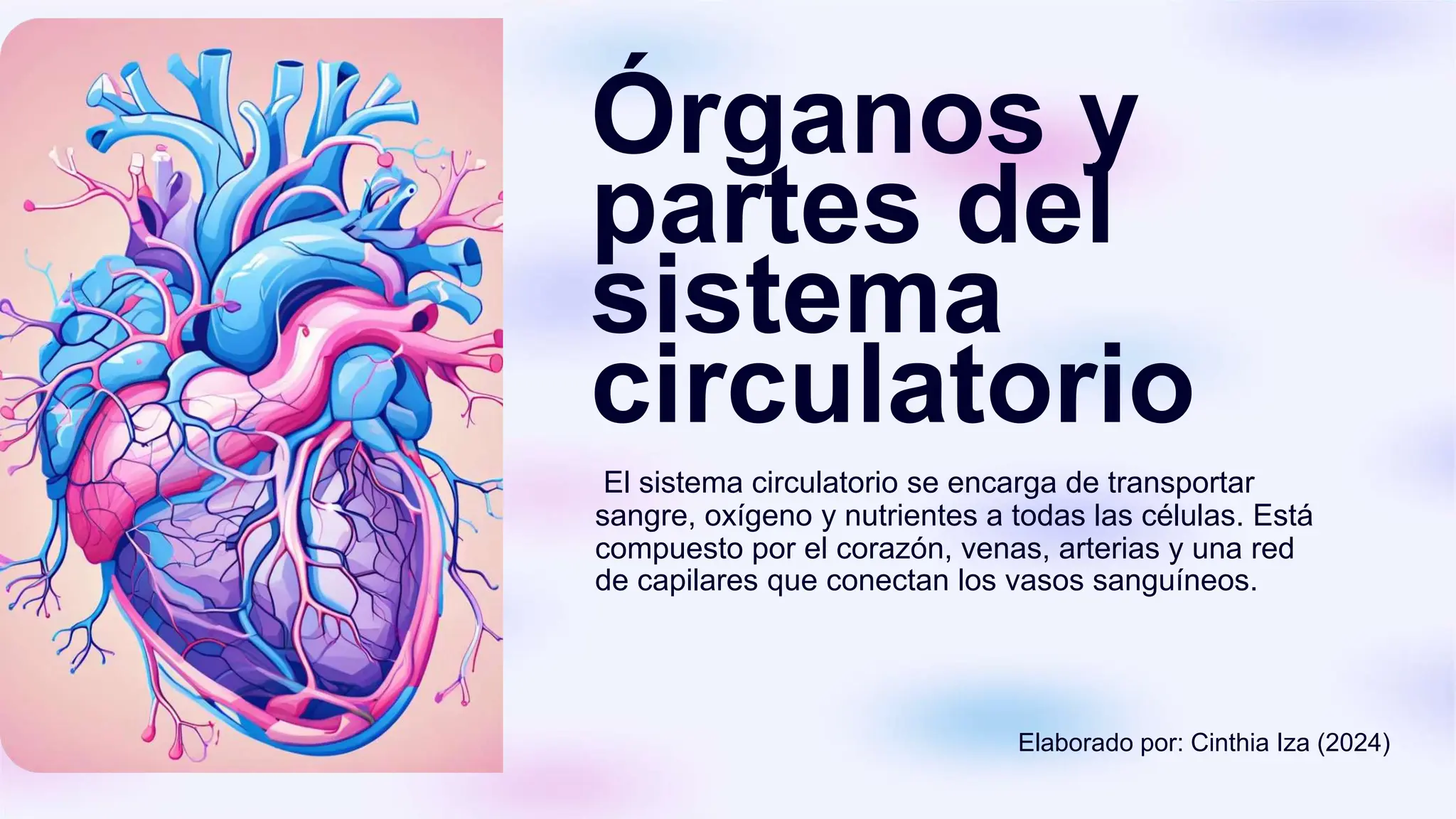 Organos y partes del sistema circulatorio | PPTX
