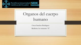 Organos del cuerpo
humano
Oscar Sanchez Rodriguez
Medicina 1er semestre “A”
 