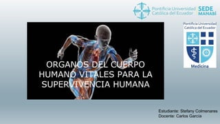 ORGANOS DEL CUERPO
HUMANO VITALES PARA LA
SUPERVIVENCIA HUMANA
Estudiante: Stefany Colmenares
Docente: Carlos García
 