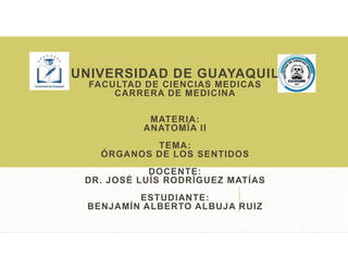 UNIVERSIDAD DE GUAYAQUIL
FACULTAD DE CIENCIAS MEDICAS
CARRERA DE MEDICINA
MATERIA:
ANATOMÍA II
TEMA:
ÓRGANOS DE LOS SENTIDOS
DOCENTE:
DR. JOSÉ LUÍS RODRÍGUEZ MATÍAS
ESTUDIANTE:
BENJAMÍN ALBERTO ALBUJA RUIZ
 