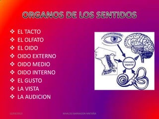      EL TACTO
     EL OLFATO
     EL OIDO
     OIDO EXTERNO
     OIDO MEDIO
     OIDO INTERNO
     EL GUSTO
     LA VISTA
     LA AUDICION

12/03/2013           NIVALDO BARRAGON MNTAÑA
 