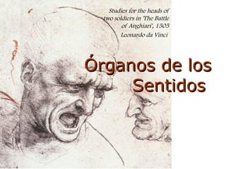 Studies for the heads of
two soldiers in 'The Battle
of Anghiari', 1505
Leonardo da Vinci 
Órganos de losÓrganos de los
SentidosSentidos
 