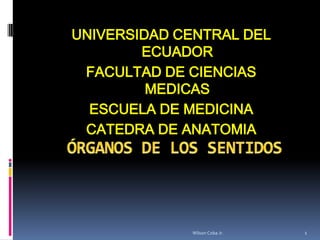 UNIVERSIDAD CENTRAL DEL
ECUADOR
FACULTAD DE CIENCIAS
MEDICAS
ESCUELA DE MEDICINA
CATEDRA DE ANATOMIA
Wilson Coba Jr. 1
 