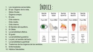 ÍNDICE:1. Los receptores sensoriales.
2. El ojo: Órgano de la vista.
- Globo Ocular.
- Órganos anejos.
1. El oído
- Oído externo.
- Oído medio.
- Oído interno.
1. El Sentido del equilibrio.
2. El Olfato
3. La sensibilidad olfativa.
4. El gusto
5. La sensibilidad gustativa
6. La piel y el sentido del tacto.
7. La sensibilidad superficial
8. Trastornos de los órganos de los sentidos.
9. Enfermedades
10. Hábitos Saludables
 