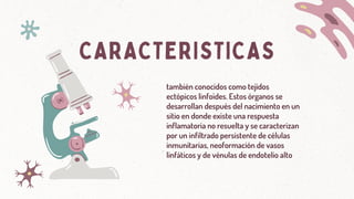 CARACTERISTICAS
también conocidos como tejidos
ectópicos linfoides. Estos órganos se
desarrollan después del nacimiento en un
sitio en donde existe una respuesta
inflamatoria no resuelta y se caracterizan
por un infiltrado persistente de células
inmunitarias, neoformación de vasos
linfáticos y de vénulas de endotelio alto
 