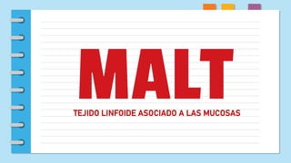 TEJIDO LINFOIDE ASOCIADO A LAS MUCOSAS
MALT
 