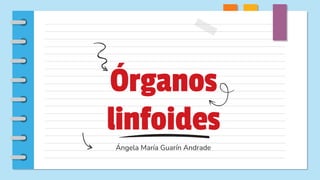 Órganos
linfoides
Ángela María Guarín Andrade
 