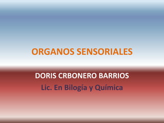 Organos sensoriales