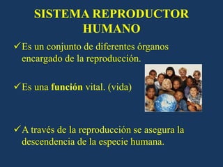 SISTEMA REPRODUCTOR
HUMANO
Es un conjunto de diferentes órganos
encargado de la reproducción.
Es una función vital. (vida)
A través de la reproducción se asegura la
descendencia de la especie humana.
 