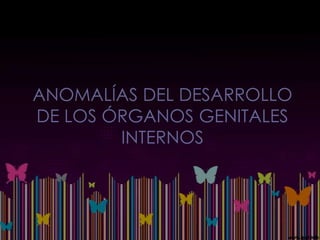 ANOMALÍAS DEL DESARROLLO
DE LOS ÓRGANOS GENITALES
        INTERNOS
 