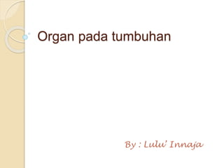 Organ pada tumbuhan 
By : Lulu’ Innaja 
 