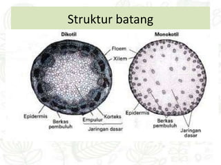Struktur batang
 