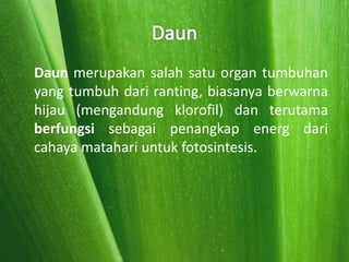 Daun merupakan salah satu organ tumbuhan
yang tumbuh dari ranting, biasanya berwarna
hijau (mengandung klorofil) dan terutama
berfungsi sebagai penangkap energ dari
cahaya matahari untuk fotosintesis.
 