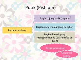 Putik (Pistilum)
Berdeferensiansi
Bagian bawah yang
menggelembung (ovarium/bakal
buah)
Bagian yang memanjang (tangkai)
Bagian ujung putik (kepala)
Megasporangium
Sel gamet
betina
 
